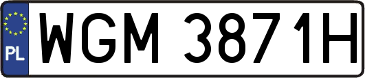 WGM3871H