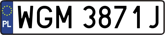 WGM3871J