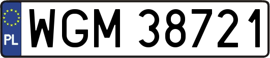 WGM38721
