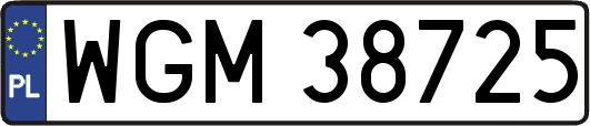 WGM38725