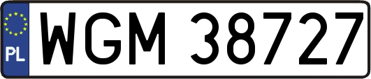 WGM38727