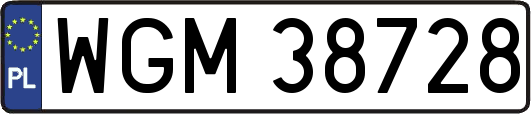 WGM38728