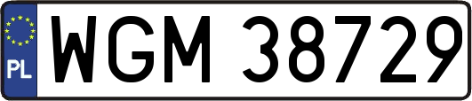 WGM38729