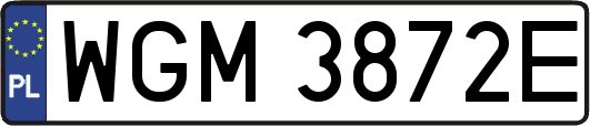 WGM3872E