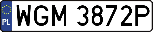WGM3872P