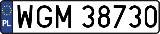 WGM38730