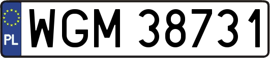 WGM38731