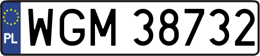 WGM38732