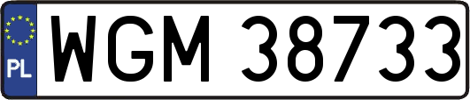 WGM38733