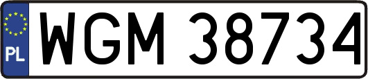 WGM38734
