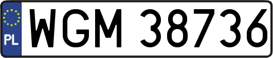 WGM38736