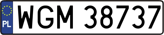 WGM38737