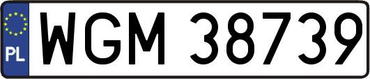 WGM38739