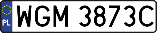 WGM3873C