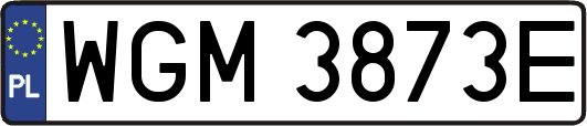 WGM3873E