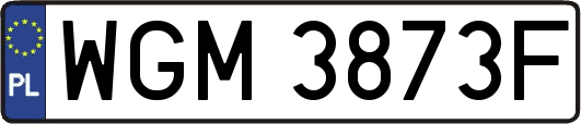WGM3873F