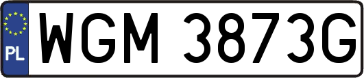 WGM3873G