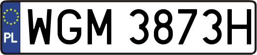 WGM3873H