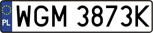 WGM3873K