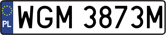 WGM3873M