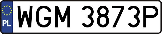 WGM3873P