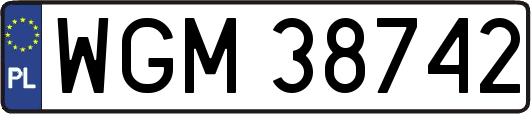 WGM38742