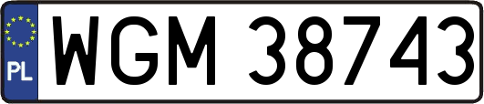 WGM38743