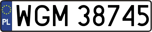 WGM38745