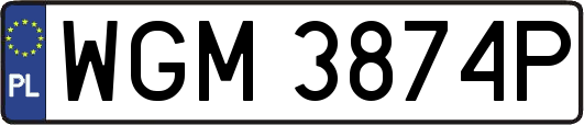 WGM3874P
