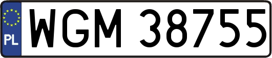 WGM38755