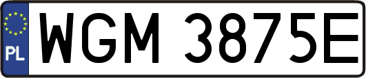WGM3875E
