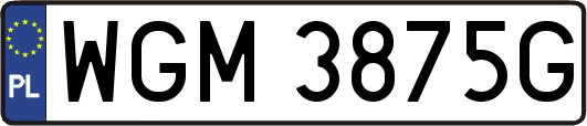WGM3875G