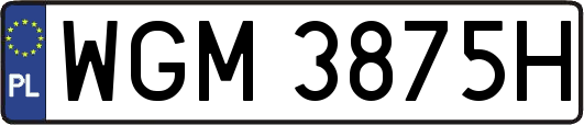 WGM3875H