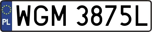 WGM3875L