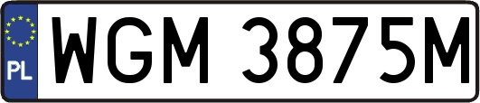 WGM3875M