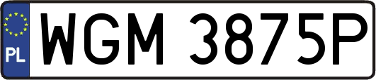 WGM3875P