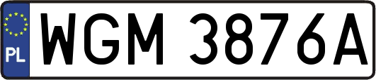 WGM3876A