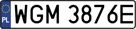 WGM3876E