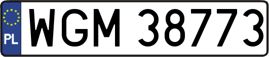WGM38773