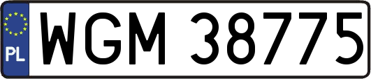 WGM38775
