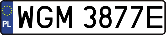 WGM3877E