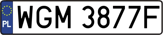 WGM3877F