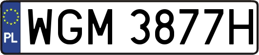 WGM3877H