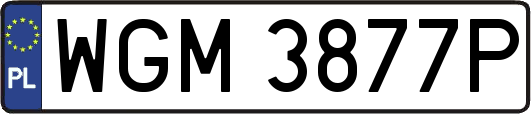 WGM3877P