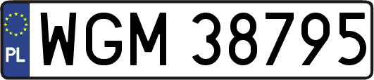 WGM38795