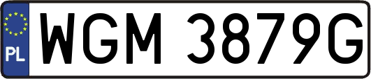 WGM3879G