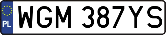 WGM387YS