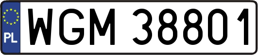 WGM38801