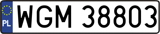 WGM38803
