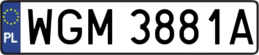 WGM3881A